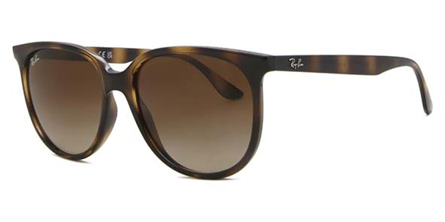 Ray-Ban RB4378 710/13