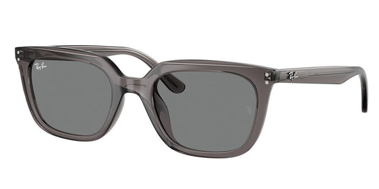Ray-Ban RB4439D Asian Fit 667587